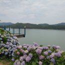 로스티아