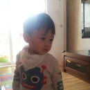 홍*완 Daum카페