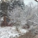 장어독립(가평본점) 이미지