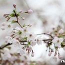 진해구 ⓒ-24 이미지