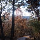 [광주 광산구]광주여대~동자봉(154m)~풍악정~어등산(290m)~풍악정~광주여대 다녀오기(2019/11/29/금 오후) 이미지