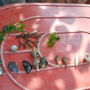 꽃지푸른솔펜션 이미지