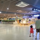 신평동1056 | 경주 정글의 법칙 미디어파크 개장 일주일차 방문후기