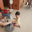 화신정비 | 26.06.21.일 (622일차) 약목스테이 칠곡 칠일살이 2일차 (上) - 칠곡 왜관시장, 꿀벌나라 유아숲체험원...