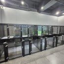 푸젤 강아지유치원 네이버블로그