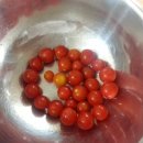 서율농장 이미지