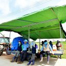 그늘막60 이미지