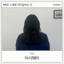 아시헤어 - 제주시 | 아시헤어