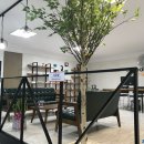 (주)선진메디칼 이미지