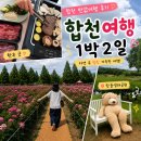 합천농업협동조합 | 합천반값여행 후기 풀빌라부터 핫들생태공원·함벽루까지 다녀온 후기