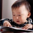 각종 문화행사 이미지