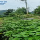 강진목장 이미지