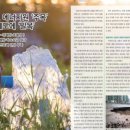 천연지하수개발 - 의성군 | 천연지하수개발