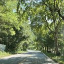 남산농협광판지점 이미지