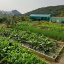 예그리나주택 이미지