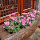 현아식당 이미지