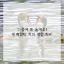 선한약속치과의원 네이버블로그