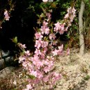 안진초등학교 이미지