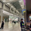 젤존약국 | [세부 3박 5일] 세부 새벽 도착, 솔레아 팜 솔직 후기