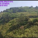 거문초동도분교장 이미지