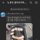 선미다방 이미지
