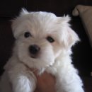 왕자와 공주 이미지