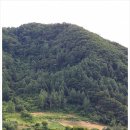 머무름 오토캠핑장 전 네이버블로그