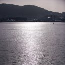 오동도2