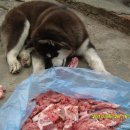 태양이네 이미지