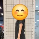 코끼리짐 이미지