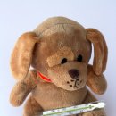 정성 행정사 사무소 이미지