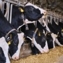 즉연농장 이미지