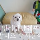 예쁘고멍 이미지