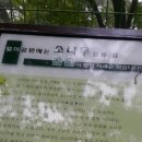 월미랜드 Daum카페