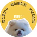 [영등포하이베이프]설향자두 액상 리뷰 설향자두 입호흡액상 전자담배액상 전담액상 전자담배액상추천