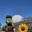 청심평화월드센터 | 올랜도 디즈니월드 앱캇(앱콧) 2월 여행 후기