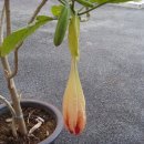 VIP레저타운 이미지