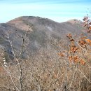 대덕산주유소 | 백두대간 대덕산 - 초점산 산행후기 (한백산악회 )
