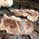 고기의 품격 이미지