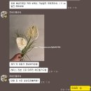 [내돈내산]신림역 힙한 부케 맛집 루바인플라워(후기스냅있음)