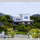 강아지 보호센터 이미지