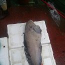 북평농협앞 이미지