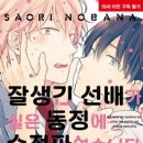 노바D&C