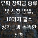 유학 장학금 종류 및 신청 방법, 10가지 필수 장학금과 똑똑한 신청 전략