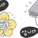 돈가방