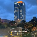 티.디.비 | 오사카 신상호텔 추천 센타라 그랜드 호텔 오사카 디럭스킹룸 조식 루프탑바 대만족 후기