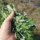 마라농장 이미지