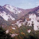 조령산자연휴양림 이미지