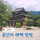 모악산도립공원 대순진리회 앞 | 김제 금산사 주차장 꿀팁부터 미륵전까지, 아이와 가족 방문 후기