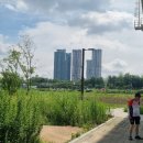 용비쉼터 이미지